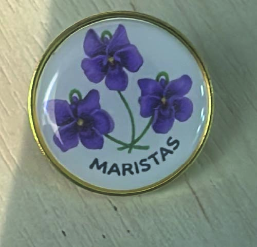 PIN RESINA