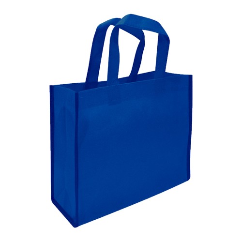 Bolsa TNT Reutilizable G01
