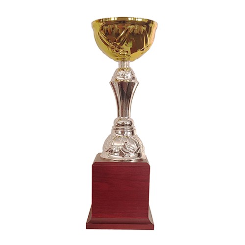 Copa BLAS 30