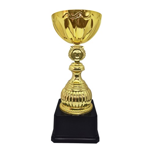 Copa Alex 10