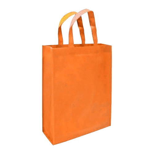 Bolsa TNT Reutilizable G06