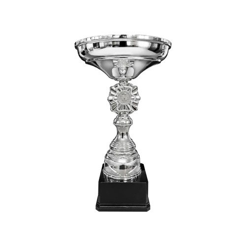 Copa ELI 10