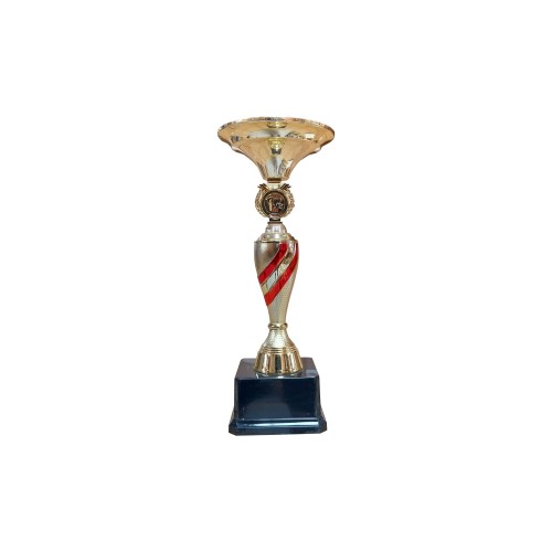 Copa ZK