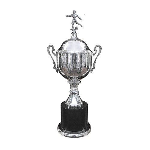 Copa Inglesa 115