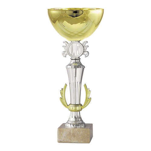 Copa BLAS 7