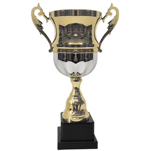 Copa 2006