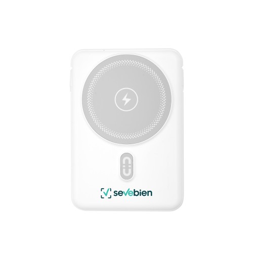 Power Bank multipuerto 